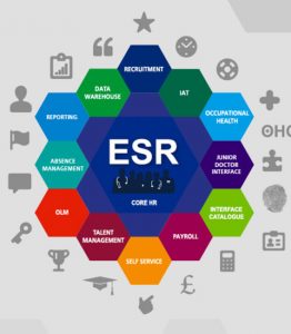 ESR component diagram