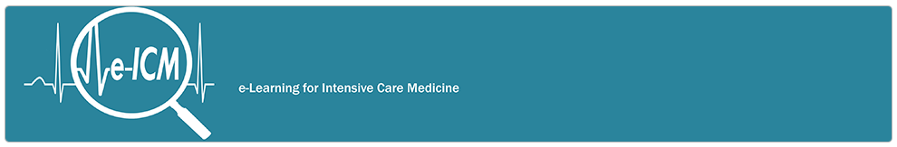 Intensive Care Medicine (e-ICM)