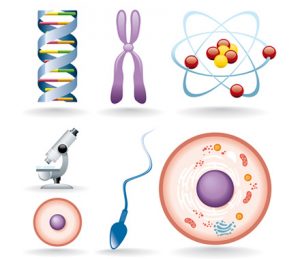 Glossary of Genetic Terms