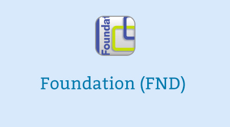 Foundation Programme