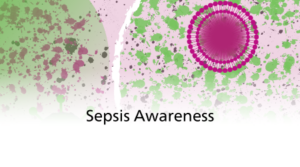 An illustrated and magnified image of cells