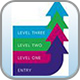 IT skills pathway programme badge