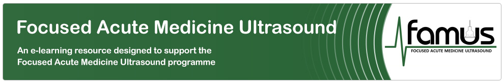 Focused Acute Medicine Ultrasound_Banner