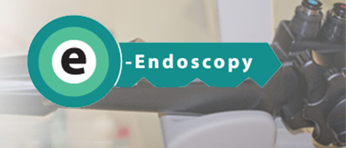 New content added to the e-Endoscopy programme