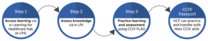 Critical Care IV Therapy Passport Steps
