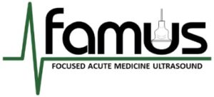 Focused Acute Medicine Ultrasound