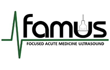 Focused Acute Medicine Ultrasound