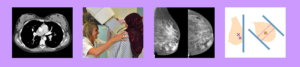 National Breast Imaging Academy