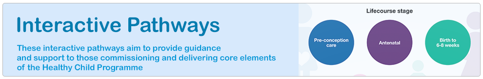 Interactive Pathways