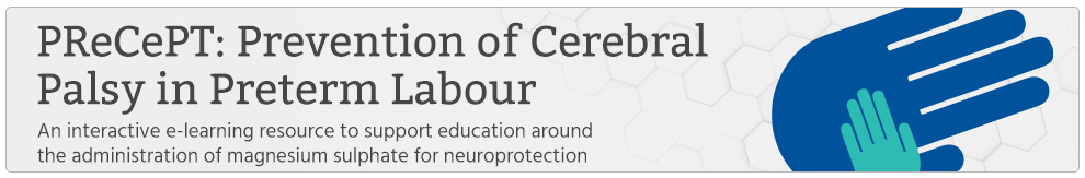 Prevention of Cerebral Palsy in Preterm Labour