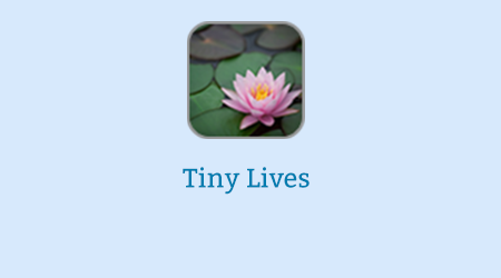 Tiny Lives