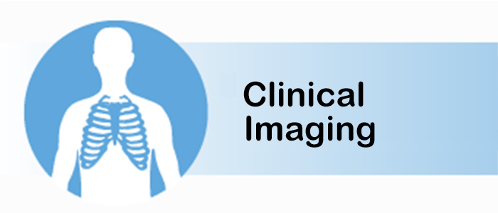 Clinical Imaging