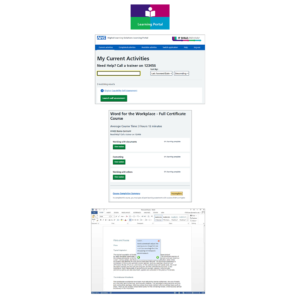 DLS Learning Portal
