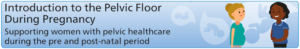 Introduction to the Pelvic Floor during Pregnancy_Banner