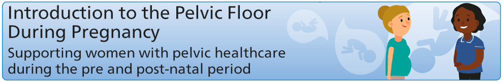 Introduction to the Pelvic Floor during Pregnancy_Banner