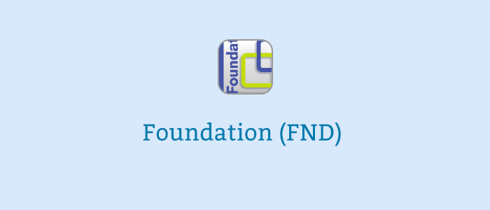 Foundation Programme