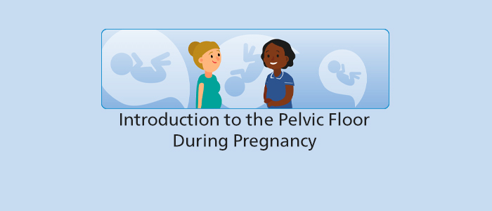 Introduction to the Pelvic Floor During Pregnancy programme