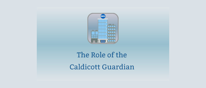 Caldicott Guardian Programme