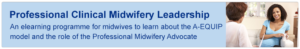 Professional Clinical Midwifery Leadership
