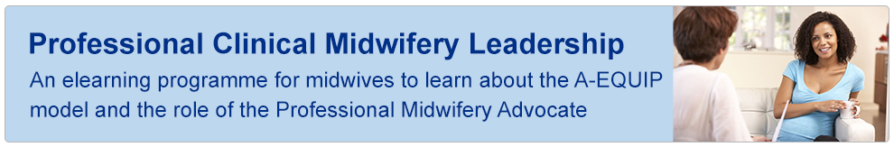 Professional Clinical Midwifery Leadership