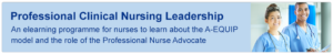 Professional Clinical Nursing Leadership