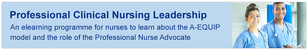 Professional Clinical Nursing Leadership