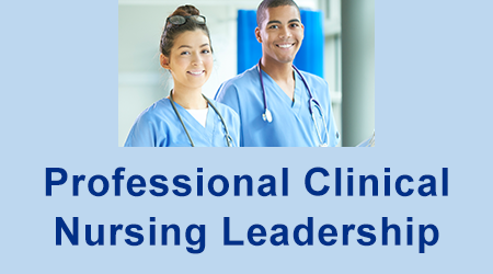 Professional Clinical Nursing Leadership