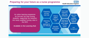 Preparing for your future as a nurse, online resource available