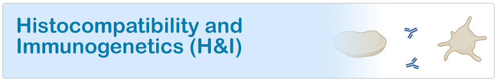 Histocompatibility & Immunogenetics (H&I)