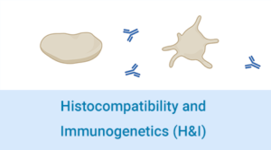Histocompatibility & Immunogenetics (H&I)