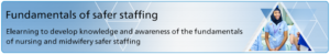 Fundamentals of Safer Staffing