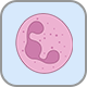 Histocompatibility and Immunogenetics – Granulocyte Immunology
