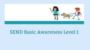 SEND Basic Awareness