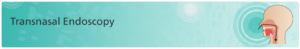 Transnasal Endoscopy (TNE)