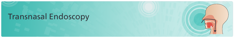 Transnasal Endoscopy (TNE)